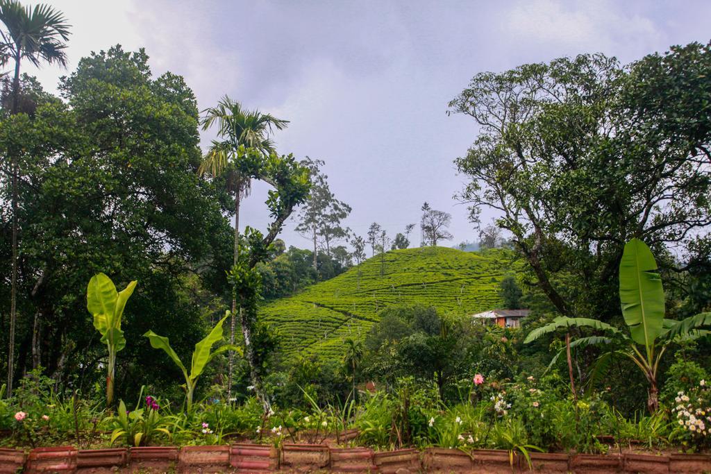 Ella Nature Resort Bagian luar foto