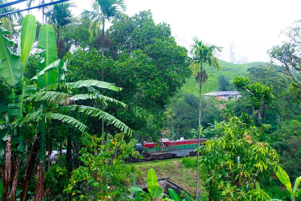 Ella Nature Resort Bagian luar foto