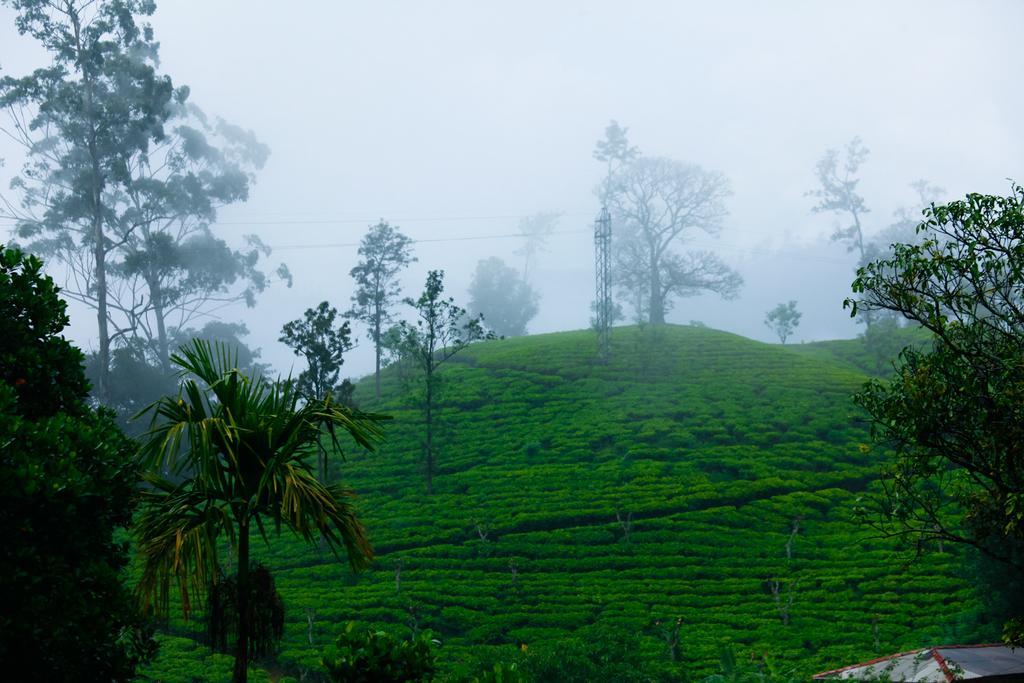 Ella Nature Resort Bagian luar foto